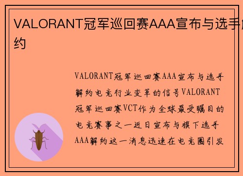 VALORANT冠军巡回赛AAA宣布与选手解约