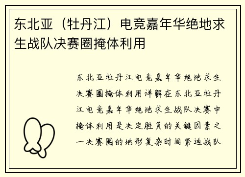 东北亚（牡丹江）电竞嘉年华绝地求生战队决赛圈掩体利用